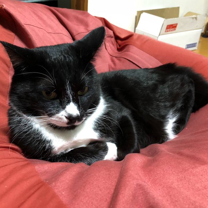 D32b1930 d298 4ce4 8155 9c86c2266eee 1635132312864