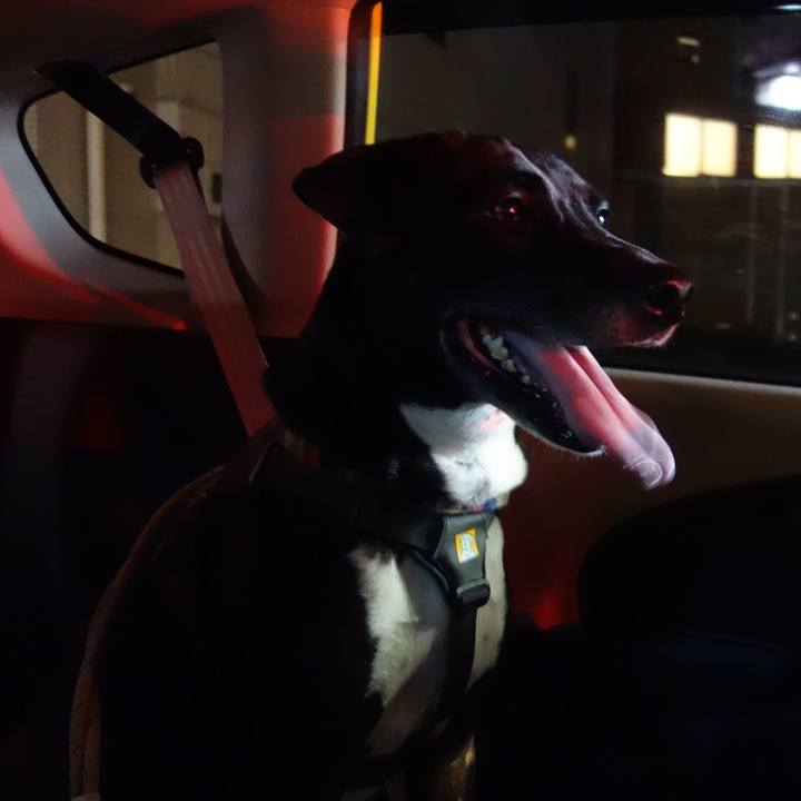 D32b1a85 b5a6 4537 a4e5 68bce156053a 1646392678398