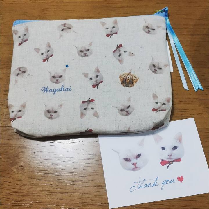 D32b3d77 51cb 44ee bdc7 0e00527ca9e5 1609340196359