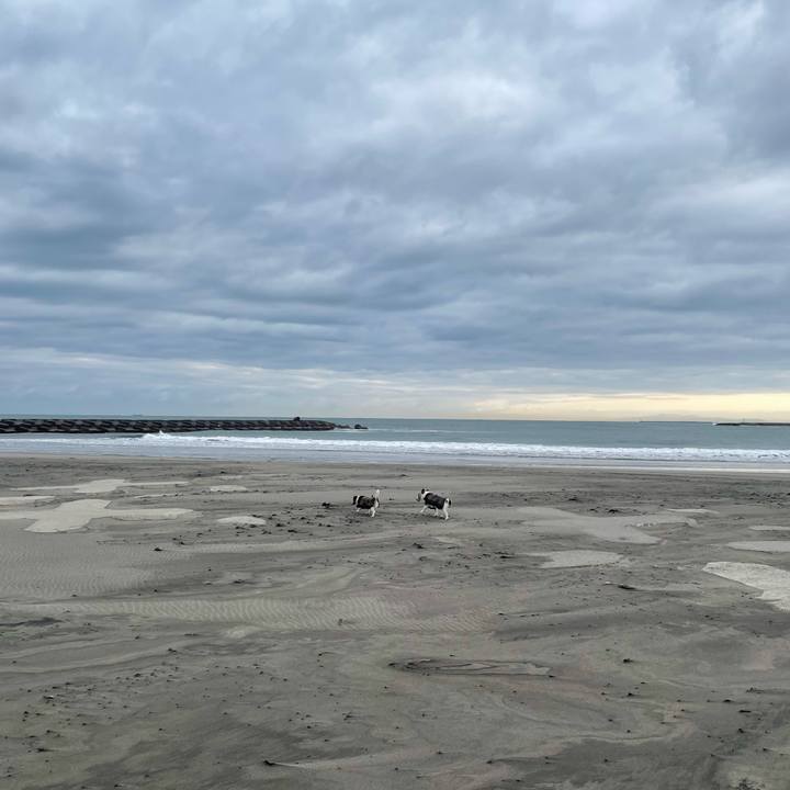 D32b83ab 7a79 4027 bd11 4802d9ef45b8 1739316611684