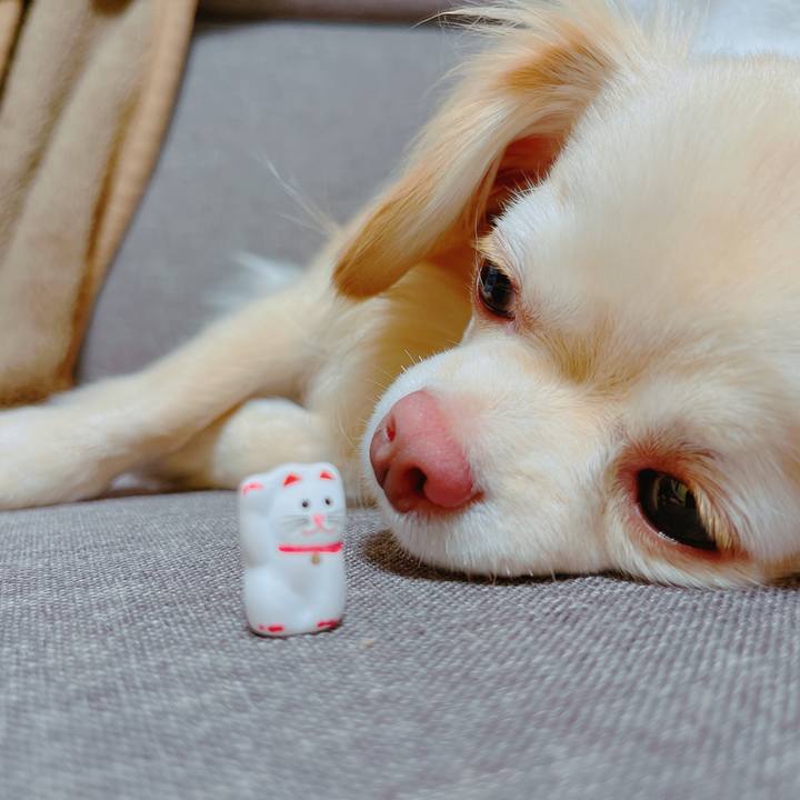 D32bd926 301c 4c40 b5b5 5758c1739cee 1650766748243