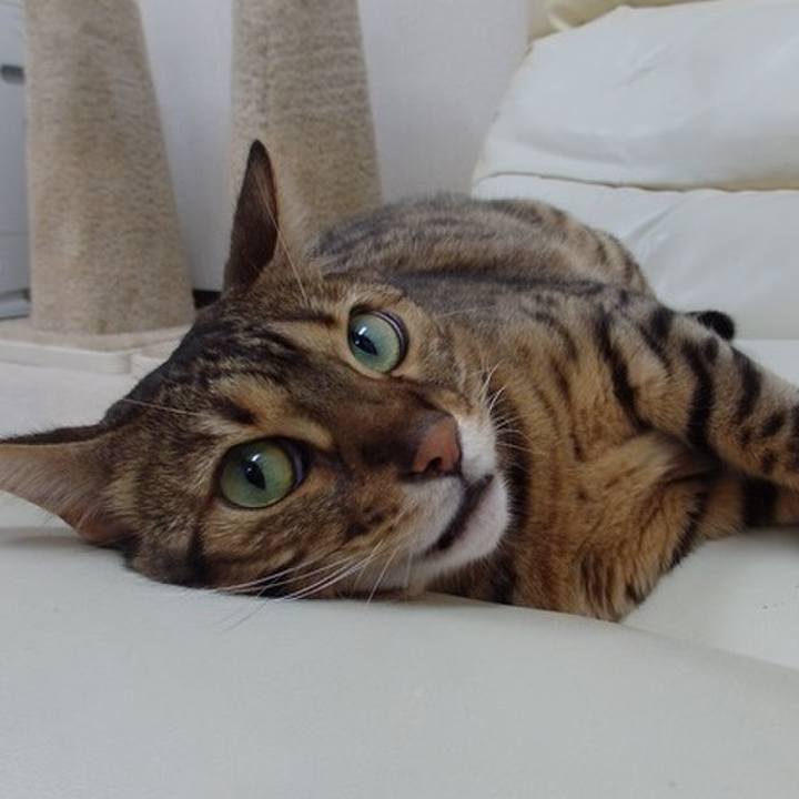 D32be020 5949 4d5e 8416 ff20ffe3e2ca 1534287271949