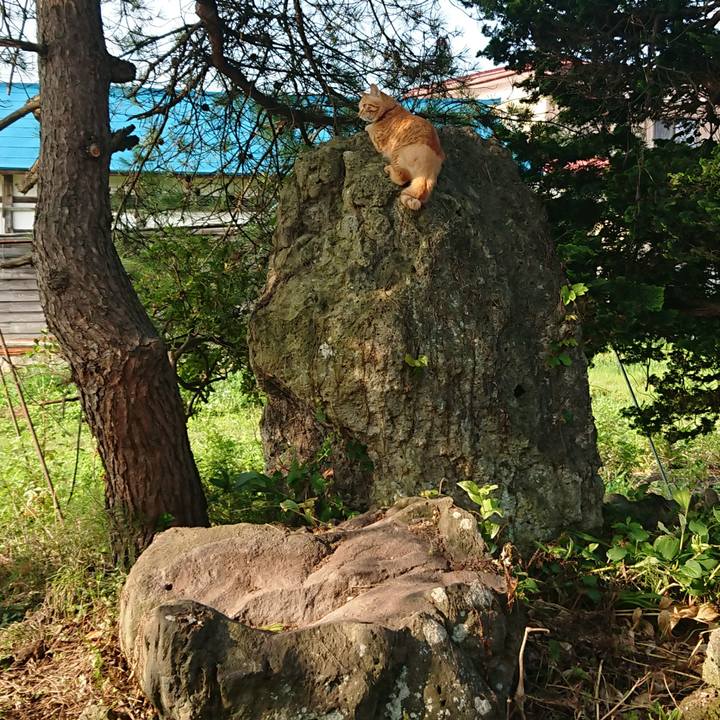 D32bf973 8998 4c31 82eb 7cff45f94595 1659045710704