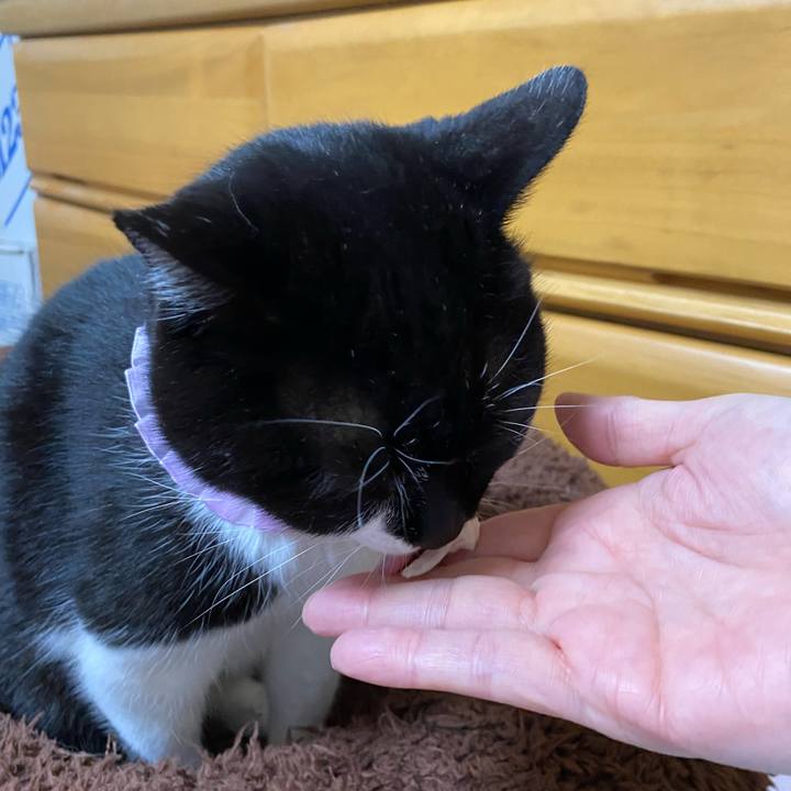 D32c2979 103c 4366 8102 94246d51c25f 1706444922643