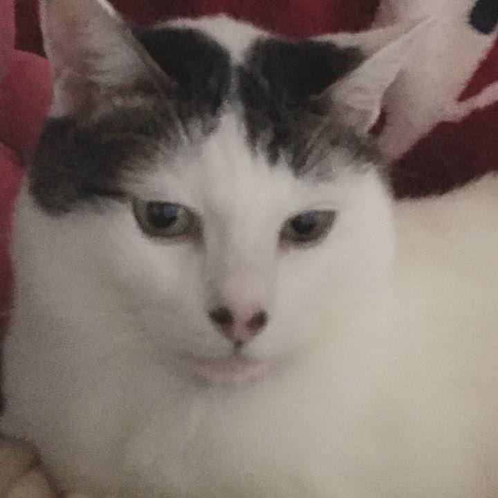 D32c2aa6 fd18 448b ab6f b2104503db61 1570879902417