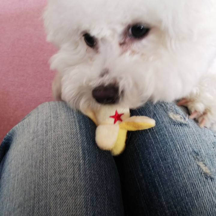 D32c5459 cf4d 4272 bc36 8efad4abb6c9 1522641198351