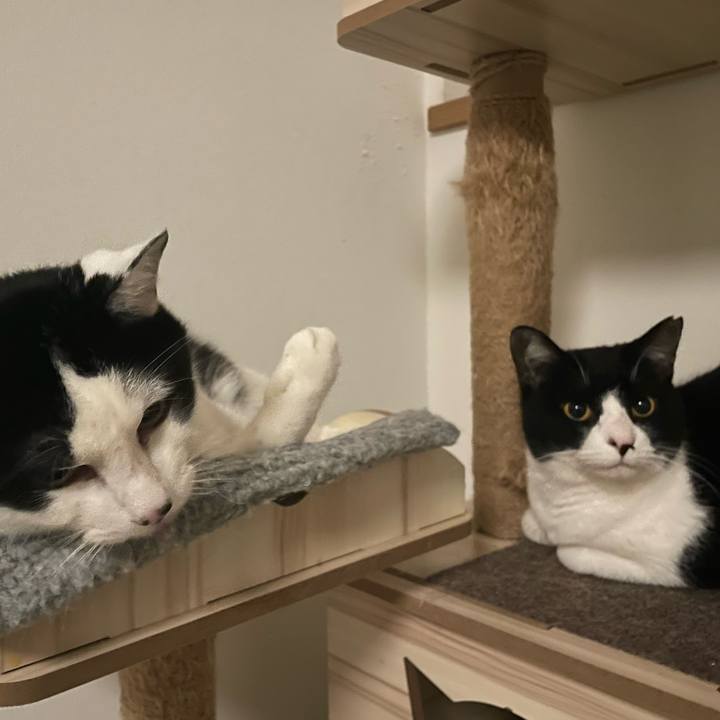 D32c9d84 f96d 49e5 a8a6 1746b9a6854d 1710222030918