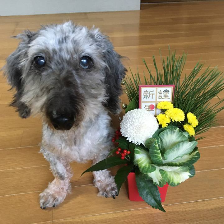 D32cba26 865b 43a7 9ca3 bb3b4505ae75 1609433201577