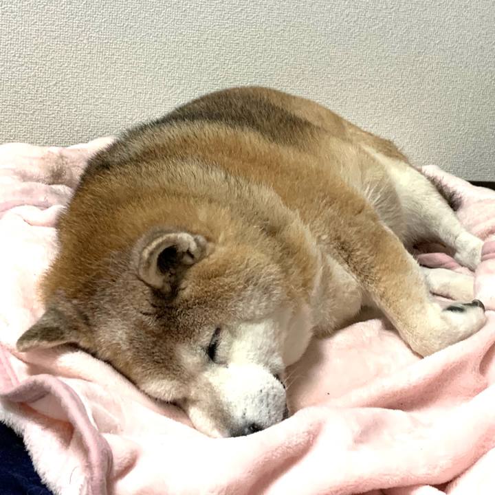 D32cfe8b a78a 45fd 9b0a 041003ba4b94 1638936262416