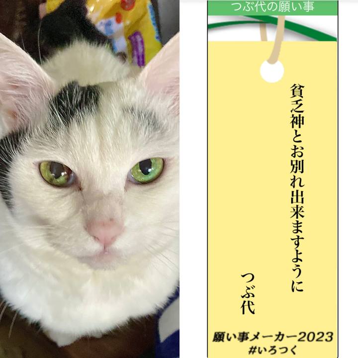 D32d06a0 45b1 40b9 acd5 c7f98648bb2d 1688711311351