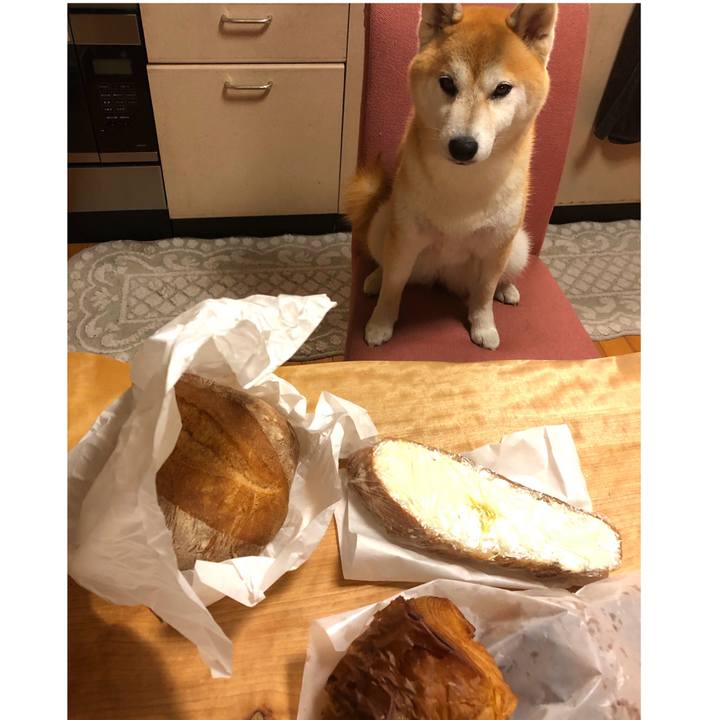 D32d0d70 77e9 4bd6 9fc5 061903e09869 1568197268976