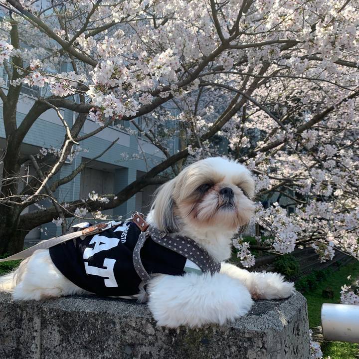 D32d1728 cac3 47b6 ab1c 0b0418e47741 1585983317185