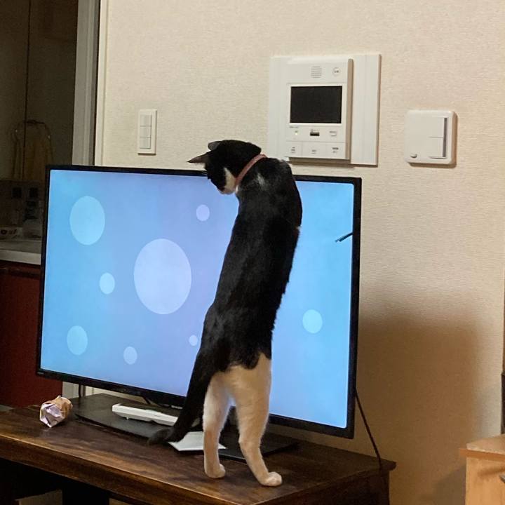 D32d5669 87ad 4470 a449 27a45ca7dd32 1619090437172