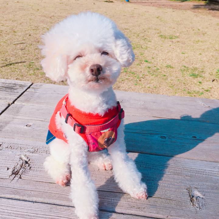 D32d5f23 1d4c 4f4b b726 0612a68a1810 1522882954383