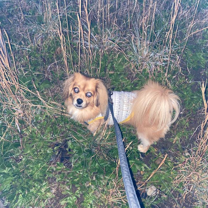 D32d9652 1b8d 477f 926e 7622409d7884 1577137413926