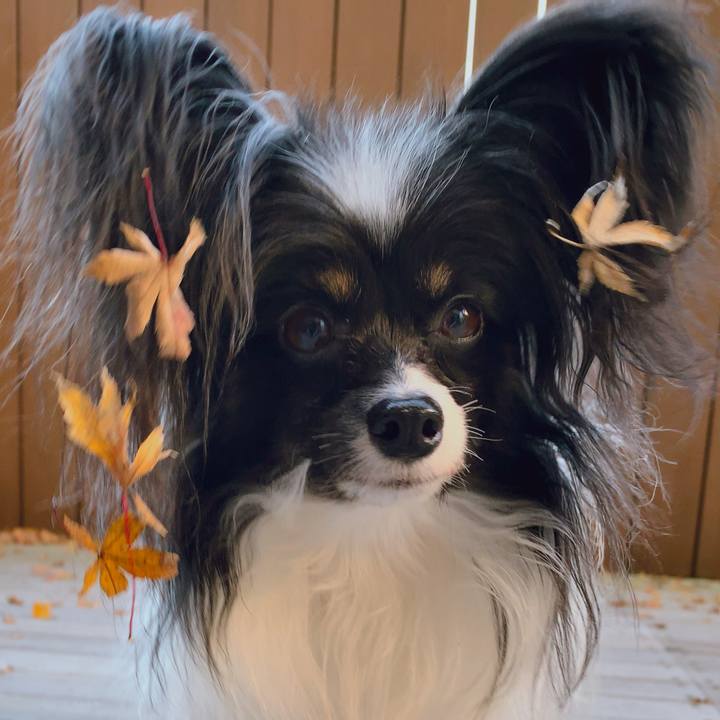 D32d989e 03e2 43ea 9a50 8903bca71cb6 1574981562082