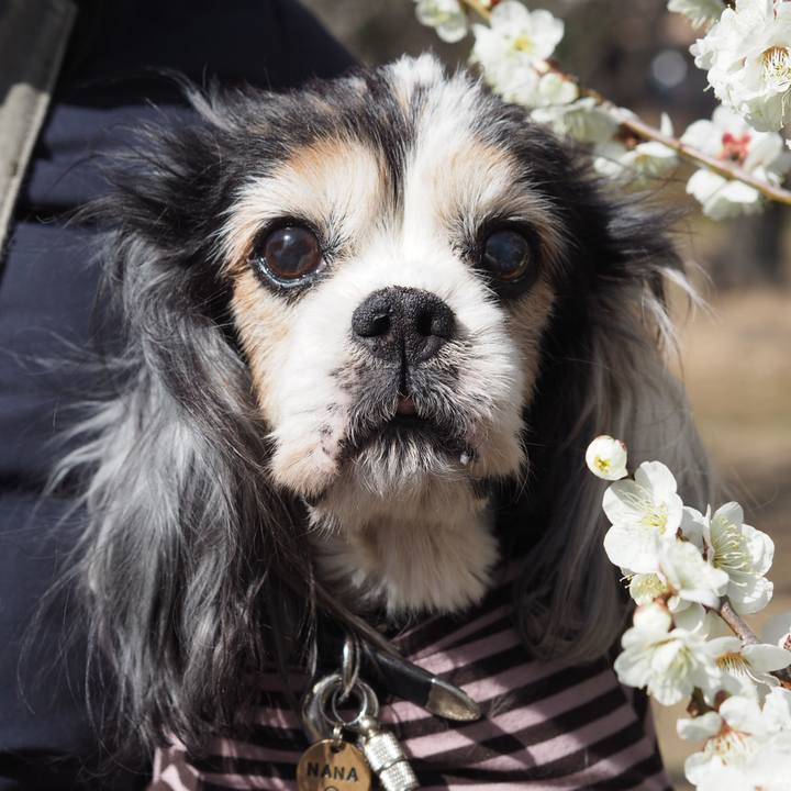 D32d9f87 7c97 4574 aca1 741b4a8bf9e4 1614405640226