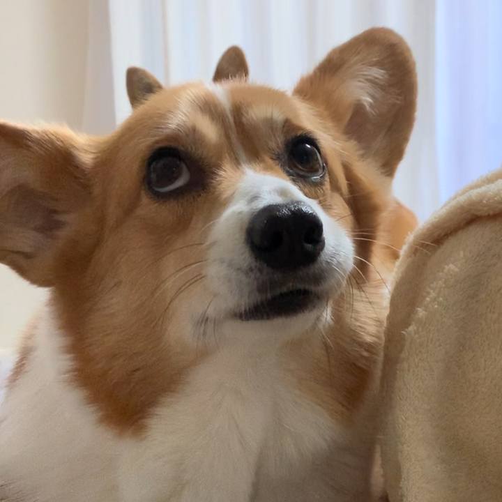 D32dba15 d120 4fdc 901e 7884990235ea 1610509025787