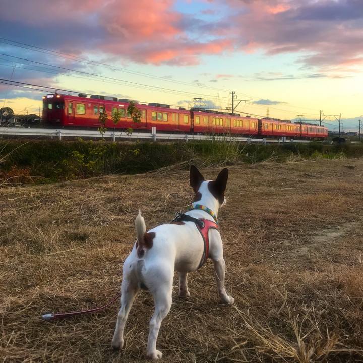 D32dbc06 f09b 43d6 91c8 cdc240f44aa1 1512589406895