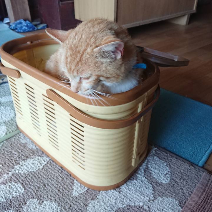 D32dc9f8 7426 4327 a89c 500c9968de7d 1556351302479