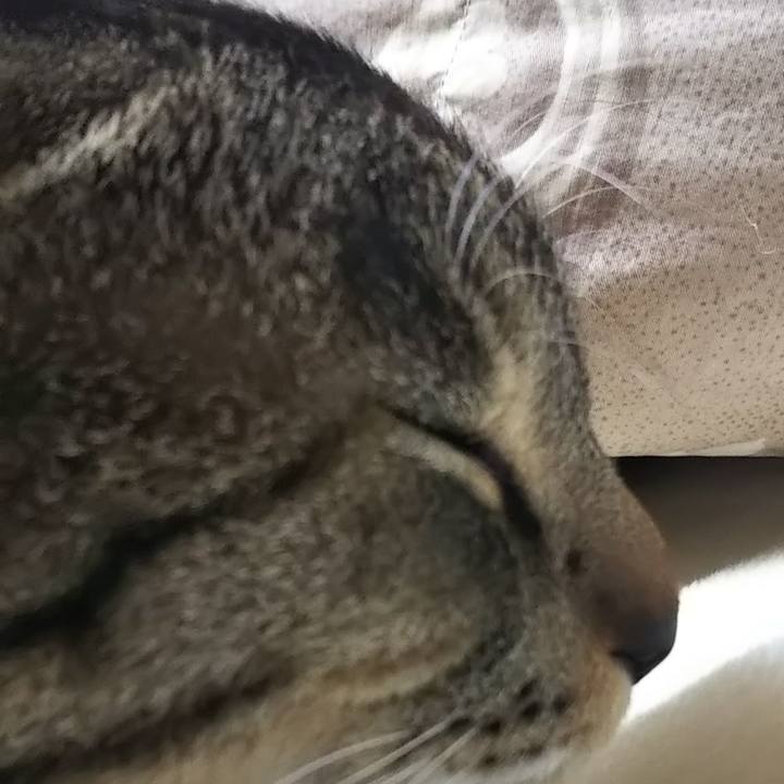 D32df065 3903 4fe4 81d5 2fa7fe24a8ab 1607682360299