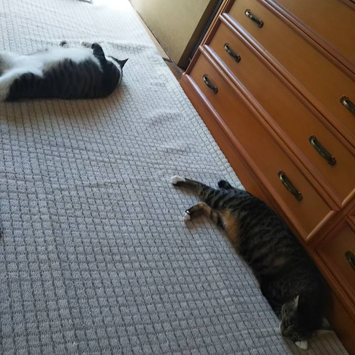 D32df4ed 0169 4142 a603 7c7255cb2448 1610983725652