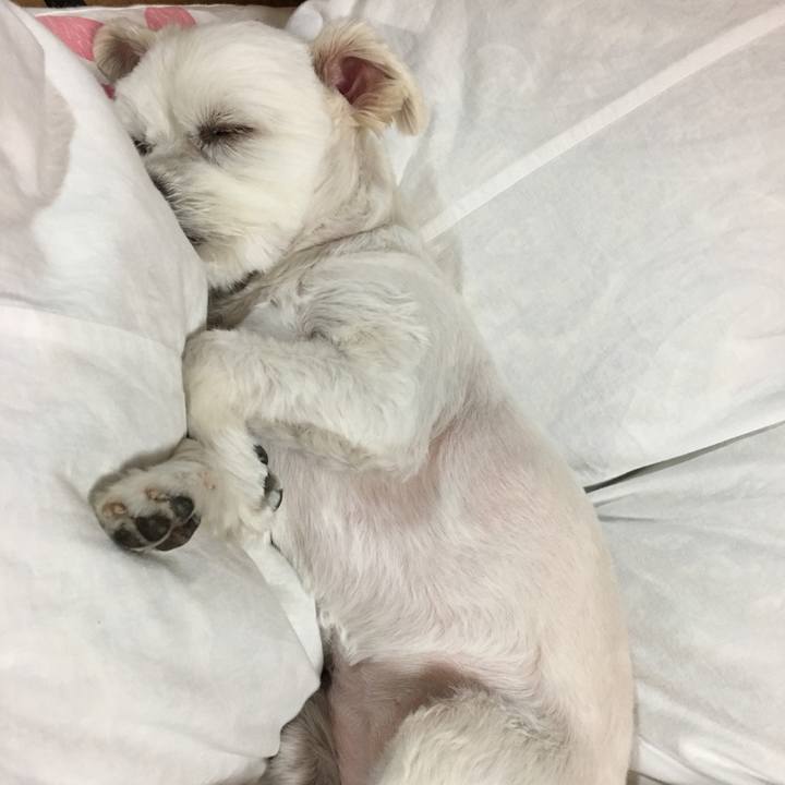 D32df65b ad67 418a 8472 f7c87fddc4bb 1524399496774