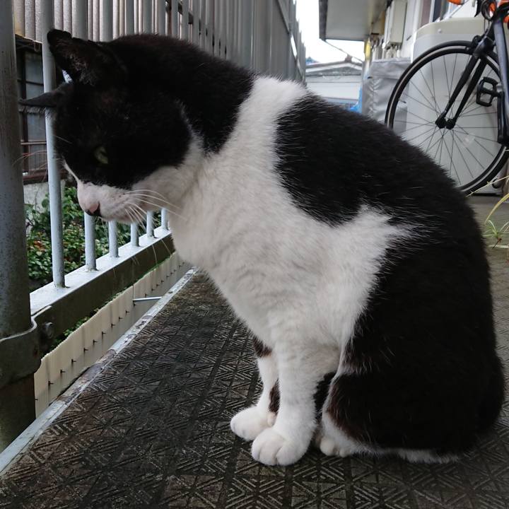 D32e040d 4082 41f7 9c91 07beb37f0be0 1594876728340