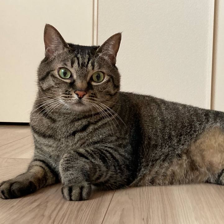 D32e1290 bbd4 4c9c 8d82 02d77f4e3051 1688021683159