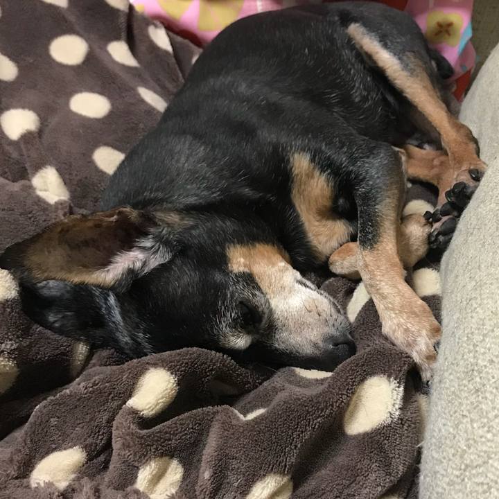 D32e15db 96e2 4688 b61d a1963fd4d398 1570545869174