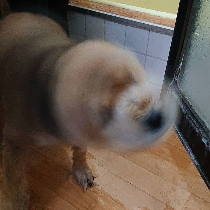 D32e2f6f 34d2 4624 a402 d0250766e0b3 1577784056340