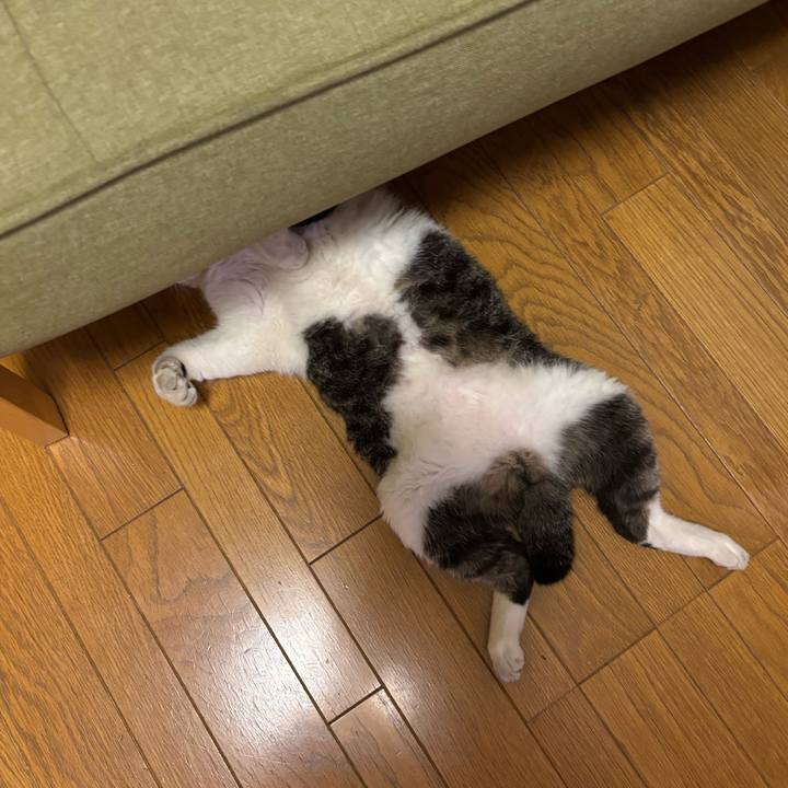 D32ed743 c2db 4de7 ba09 03f4d156c69c 1751429625180