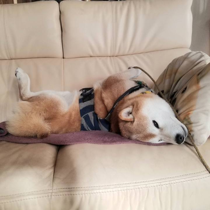 D32ed8a0 4d06 4fec 9fb1 ea1433ba94a5 1672198429323