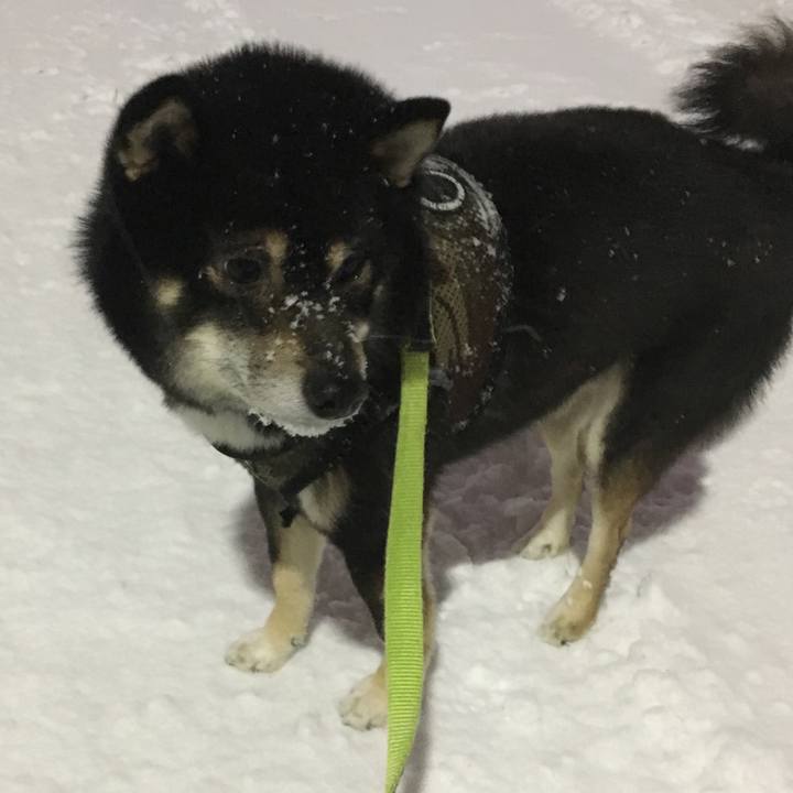 D32f3307 53e5 4589 9a18 d71b28f5b82e 1518405906489