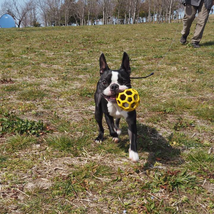 D32f5355 9087 46e3 a8c4 70d1e0f044a1 1583049148526