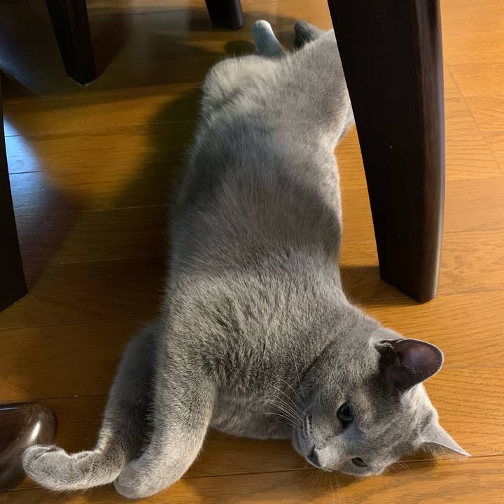 D32f5d77 83e8 480a 9e0d b1ef5cd0c451 1587363789910