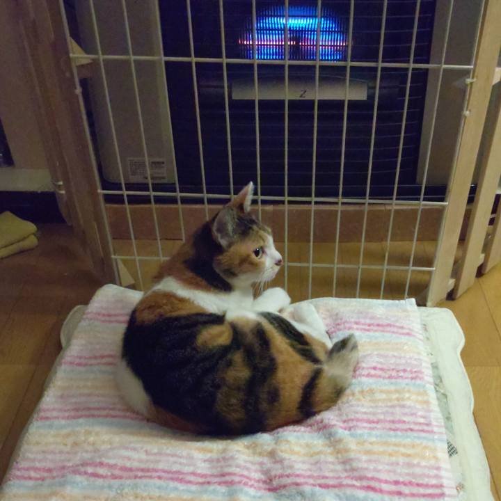 D32f5f1f 26bc 4613 a38e e82b0d4641c6 1632485244489