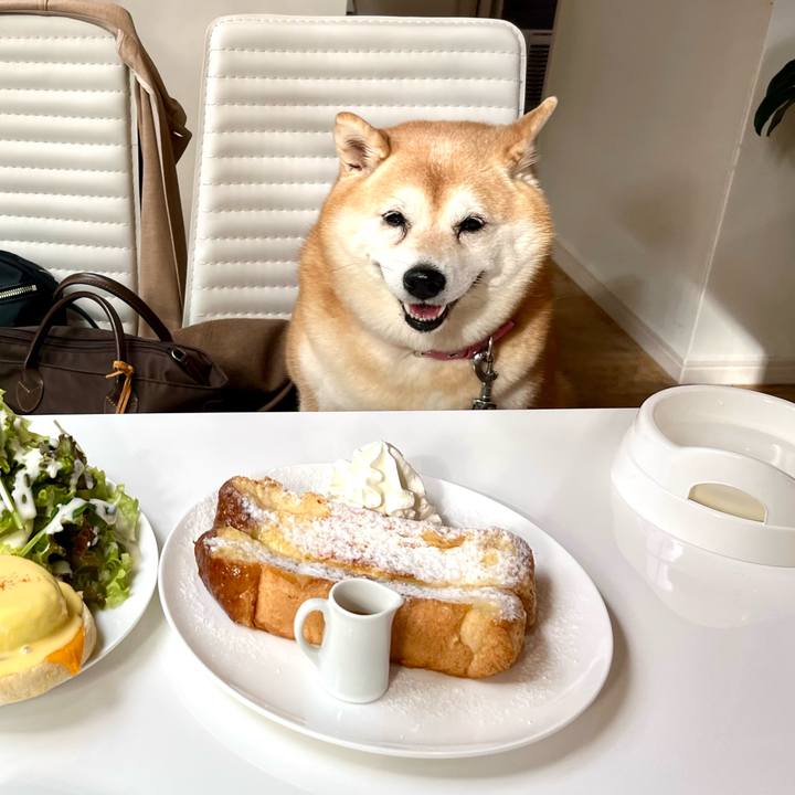 D32f7376 23a6 4ec2 a347 6c4118402fd1 1697374168499