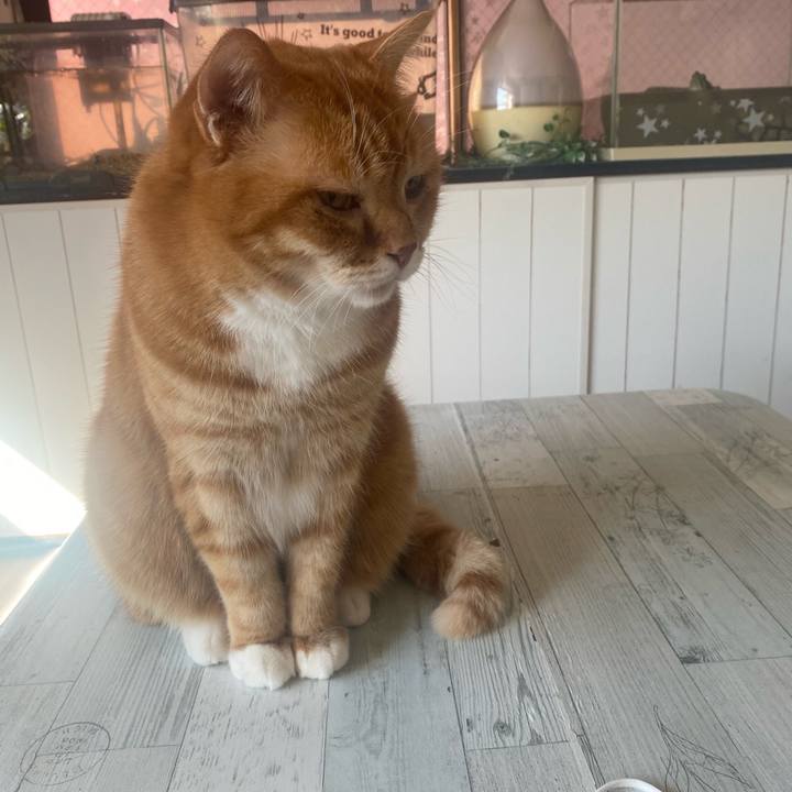 D32f9b3e 7407 40c8 80ed eb39f4e8953c 1646526246460