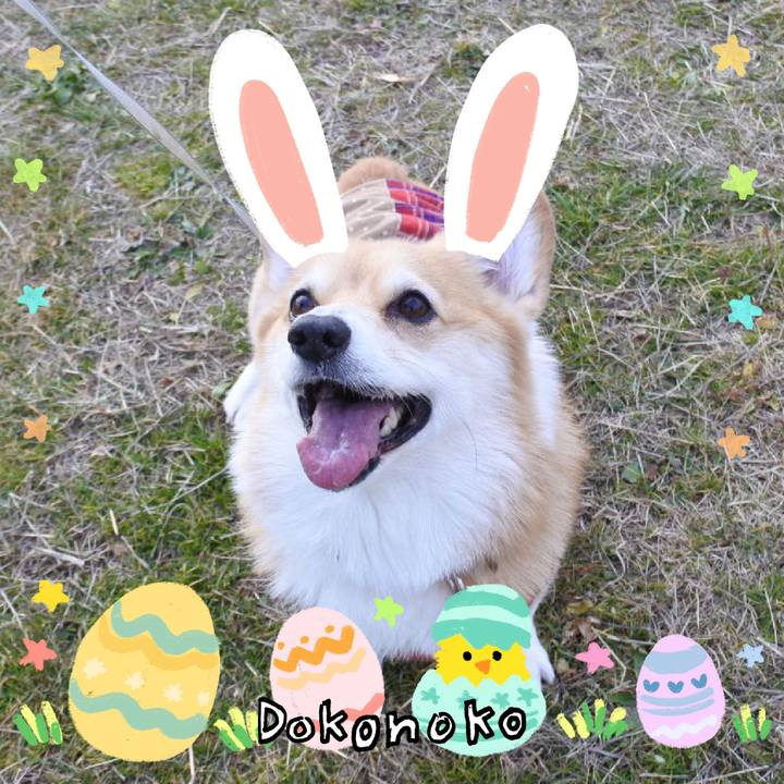 D32fdb2e dd7d 444d bf2f 8aac8160b7a0 1712318420470