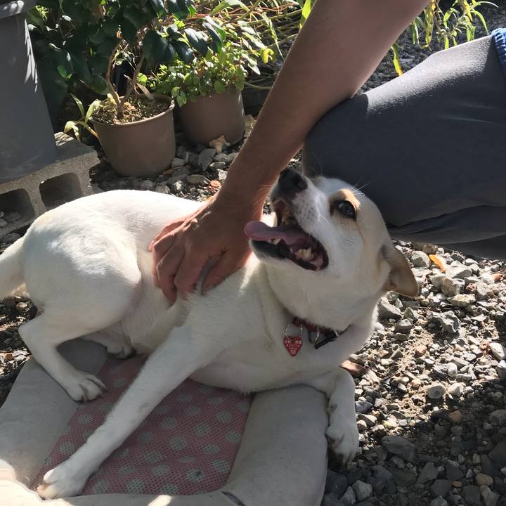 D32ff1d8 92ad 4d18 aa7c a9a3aa1e73e2 1597274654935