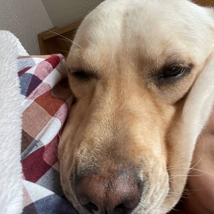 D32ff7bb 1553 43f8 bacf 364279672dc5 1703041906269