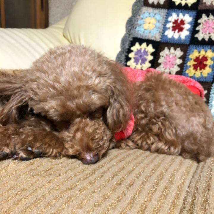 D32ffa97 a343 4438 b78d 47e7a2499b64 1574069355487