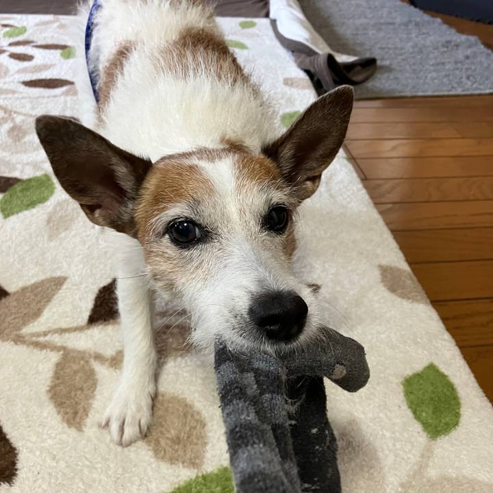 D33014f5 02c7 4e93 a5a7 5380376e4866 1716420160241