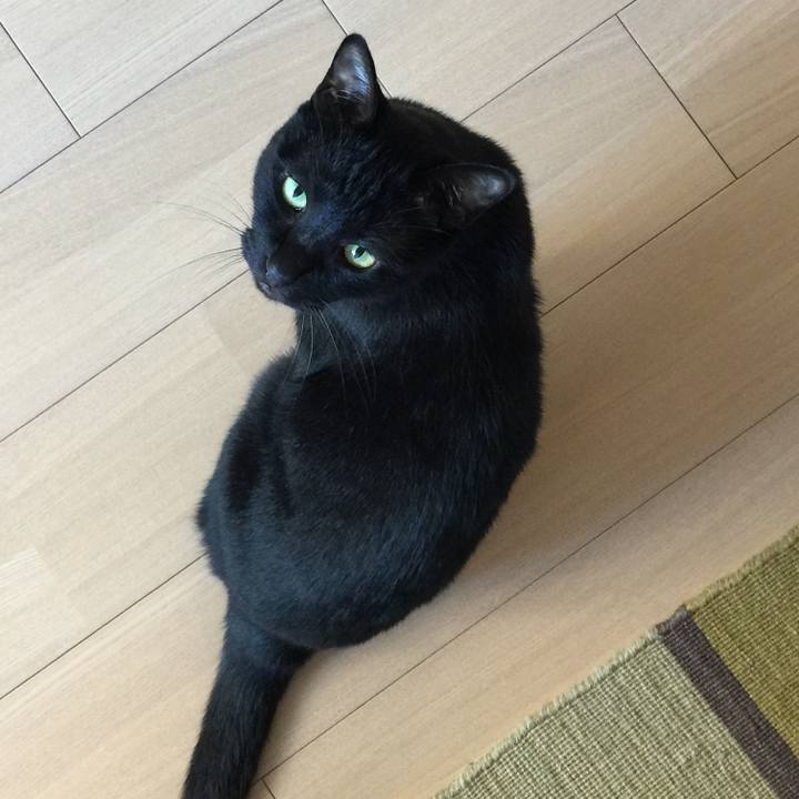 D3302e42 701a 4957 8a74 6a16d8eba643 1568514835426