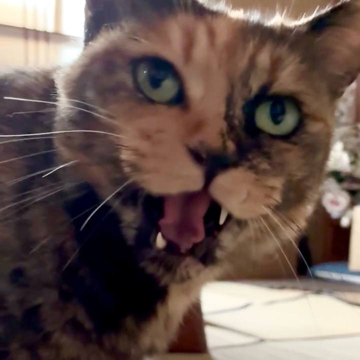 D3303158 5cc2 47df 885d 33b65562349e 1751968597602