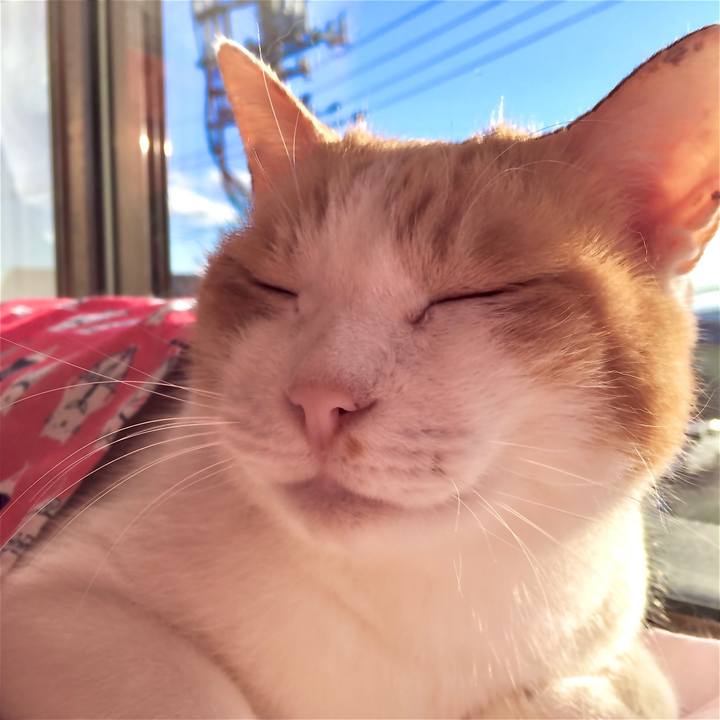 D3306b22 c836 404d 8b6d 128fc3d2c507 1578046232427