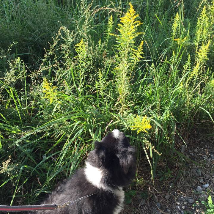 D3306b51 da76 40c7 947b 058ffd724036 1570230680609