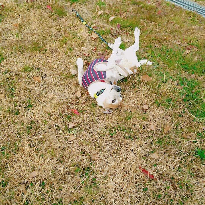 D3307a42 3dab 48d2 8c96 cff4307e0467 1514070933456