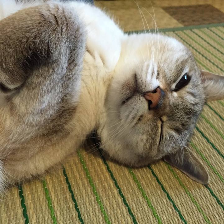 D3309cc8 fe2b 4d27 85eb 20d0515e4cc4 1528673380307